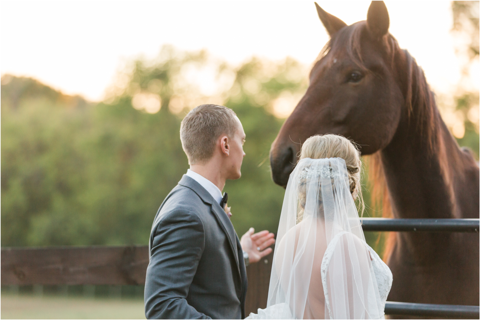 Tuckers Gap Bride and Groom Sunset Portraits Horses Wedding Photography
