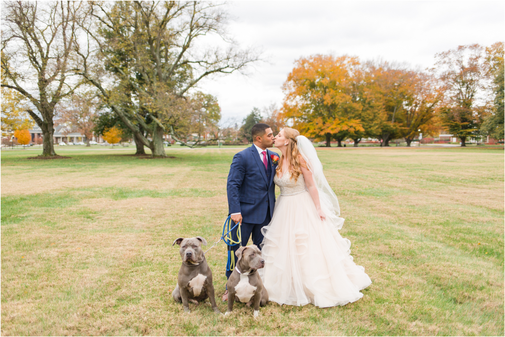 Olmsted Wedding Bride Groom Puppies Portraits Uniquely His Photography